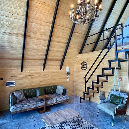 Holiday home Sakarya Kurtkoey Dibektas Da 2 1 Salon , Oezel Havuz -goel Manzarali - 5 Kisilik - Bng-117-b *